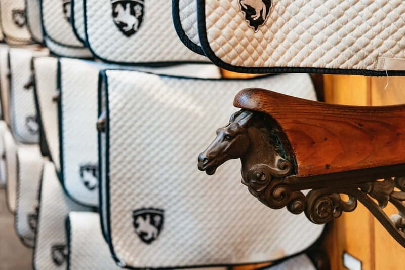 Vienna: Spanish Riding School Guided Architectural Tour - Who should book this Spanish Riding School architectural tour