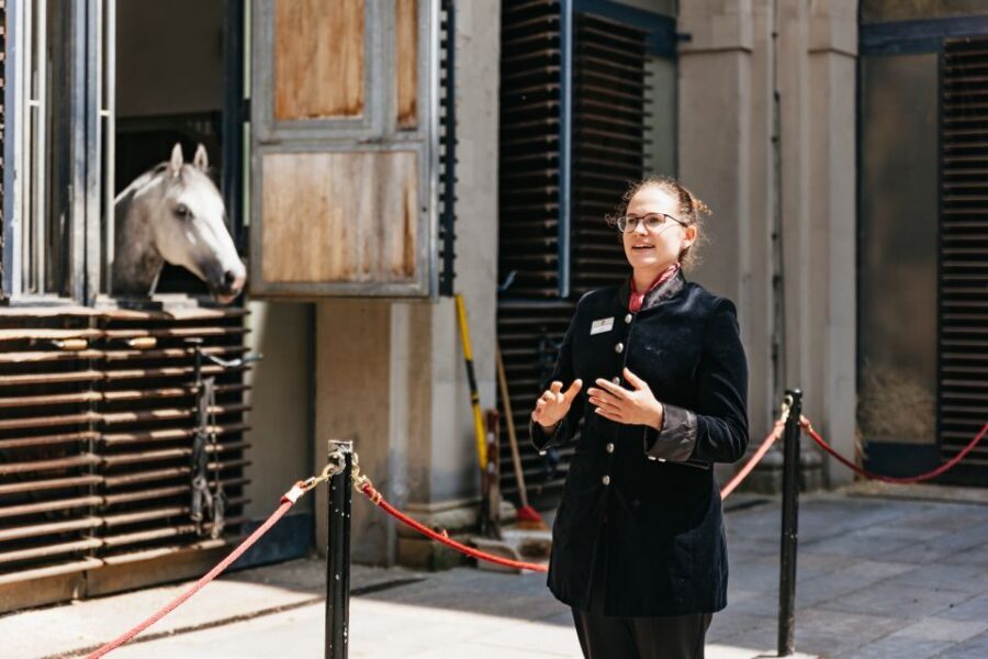 Vienna Spanish Riding School Guided Tour - Lipizzaner Stables Up Close: Stars of the Tour (With Rules)