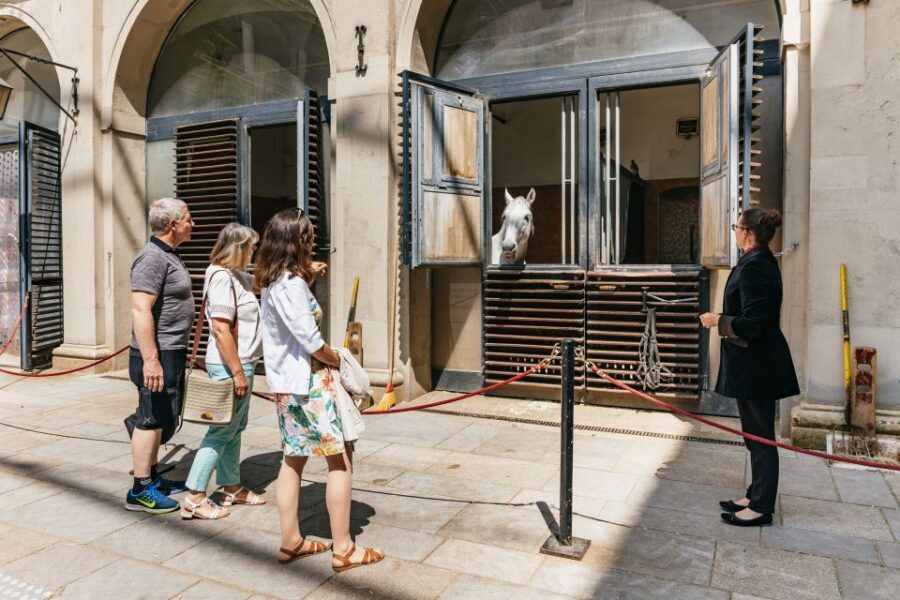 Vienna Spanish Riding School Guided Tour - When You Don’t Need a Performance Ticket