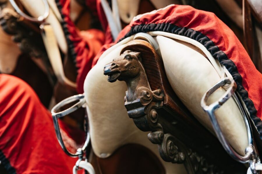 Vienna Spanish Riding School Guided Tour - $28 for 55 Minutes: Is This Good Value?