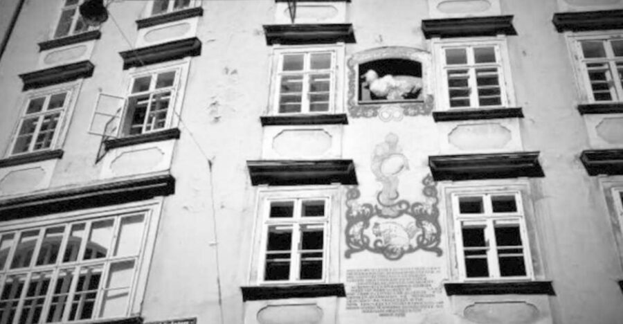 Vienna: Spooky Ghost Tour in English - Finding the group at Helmut Zilk Platz (the umbrella tip)