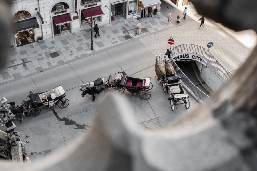Vienna: St. Stephan's Cathedral Guided Tour - The secret rooftop: photo angles you can’t fake