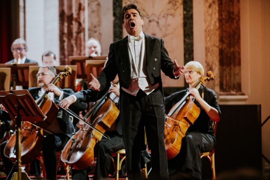 Vienna: Strauss and Mozart Concert at Hofburg Palace - Price and value: does $106 make sense for 90 minutes?