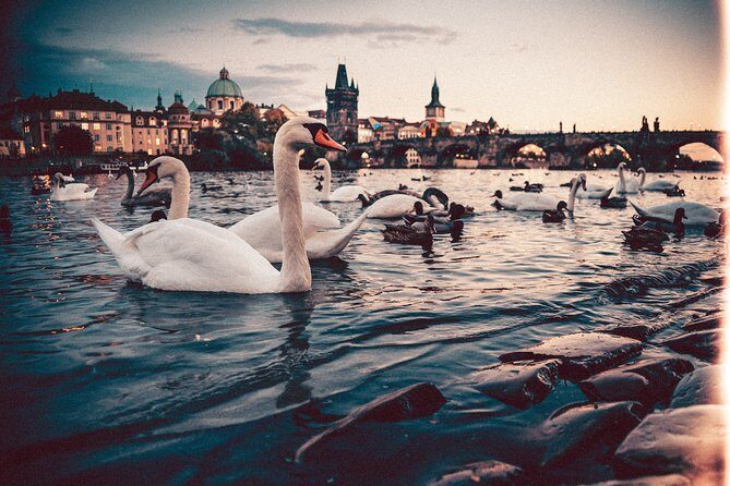 Vienna to Prague - Private Transfer with 2 hours of Sightseeing - FAQ
