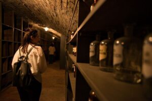 Vienna Underground Guided Walking Tour - The itinerary in plain terms: start to finish without the guesswork