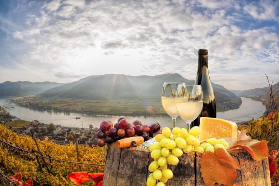 Vienna: Vienna Woods Tour with Underground Lake and Wine - Quick Tips to Make Your Day Easier