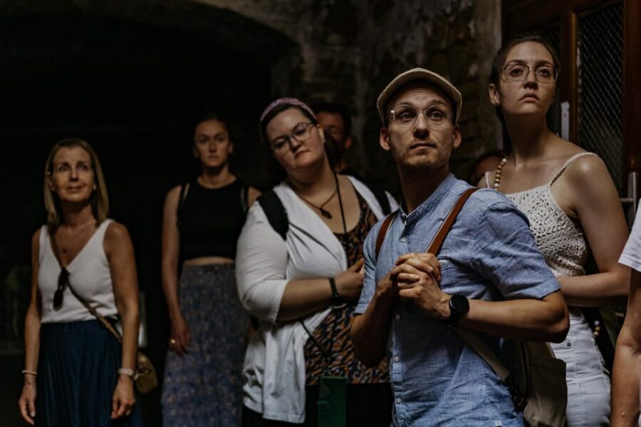 Vienna: Viennese Underworld Guided Walking Tour - The Guide Experience: German Live Narration and the Bella Factor