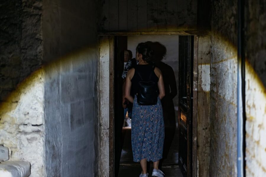 Vienna: Viennese Underworld Guided Walking Tour - What the Price Gets You (and Why It’s Not Just a Cheap Fright)