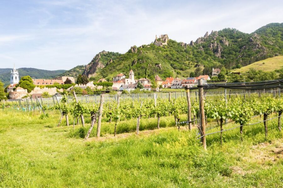 Vienna: Wachau Valley, Melk Abbey Tour with Danube Boat Trip - Melk free time: where to eat, shop a little, and get ready for the Abbey