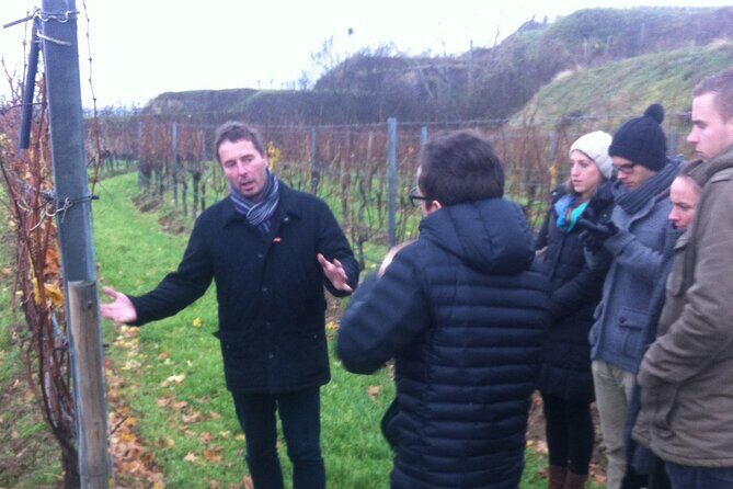 Vienna Wine Experience - Vienna above the vines: what makes this wine outing work