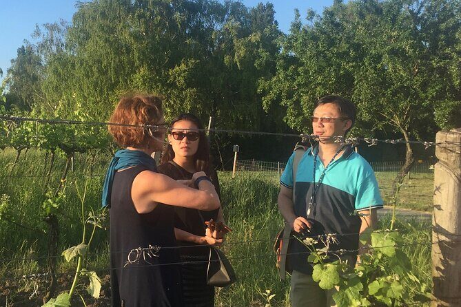 Vienna Wine Experience - Gemischter Satz and Grüner Veltliner: what to listen for