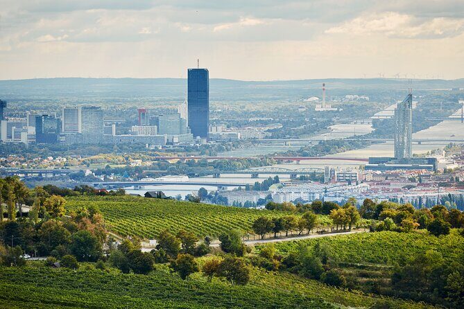 Vienna Wine Experience - If weather is bad: the indoor Heurigen plan