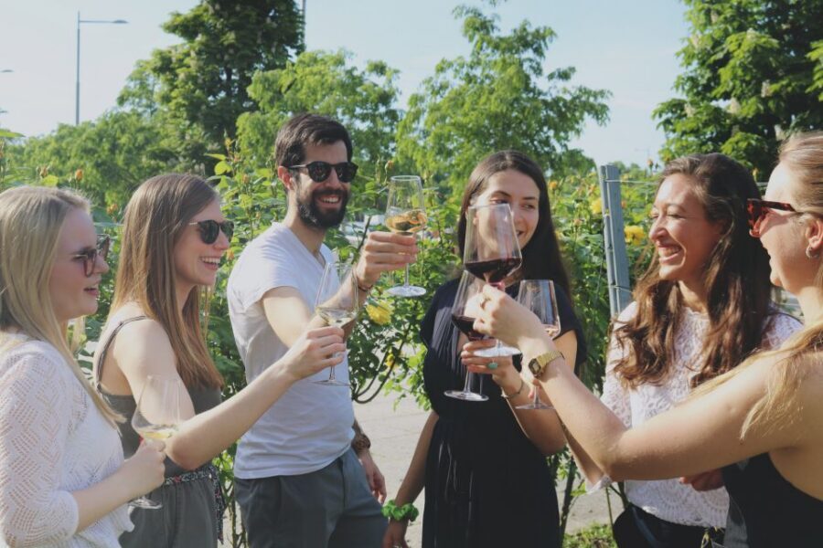 Vienna: Wine Tasting at Schönbrunn Palace - A One-Hour Wine Lesson at Schönbrunn Palace Grounds