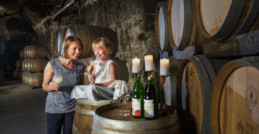 Vienna: Wine Tasting E-Bike Tour - Key things that make this tour worth your time