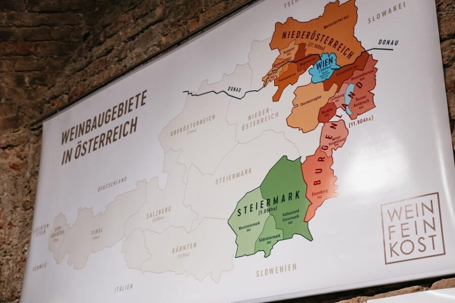 Vienna: Wine Tasting Experience in a Private Wine Cellar - Who This Vienna Wine Tasting Fits Best