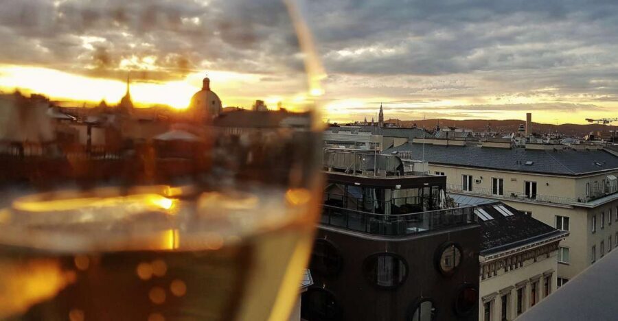 Vienna: Wine Tasting Tour - Why This Vienna Wine Tour Feels Different Than a Standard Tasting