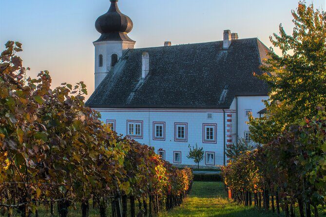 Vienna Woods Wine Tour - Wines, Vines & Good Times! - The James factor: small-group energy that doesn’t feel staged