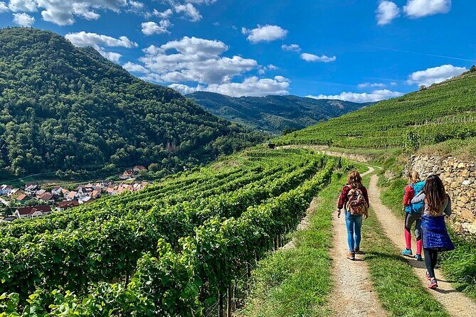 Wachau World Heritage Hike - Why the Wachau World Heritage Trails are a smart escape from Vienna