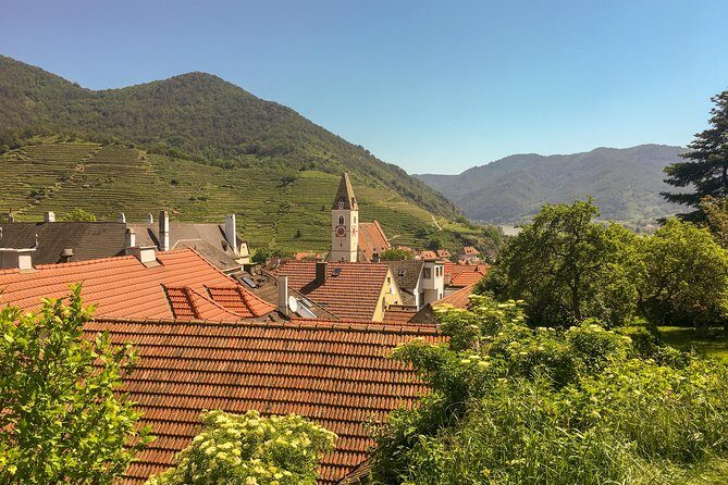 Wachau World Heritage Hike - The Heurigen stop at the end: optional, local, and best with cash