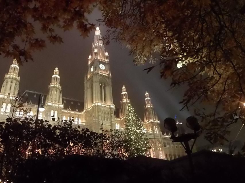 Wien: Tour with locals on the trails of the Christmas Tree - Historic Center segment: palace-to-palace storytelling in the lights