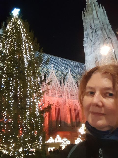 Wien: Tour with locals on the trails of the Christmas Tree - Albertina Museum stop: a short moment that adds context