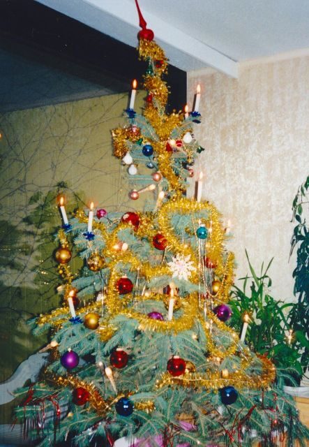 Wien: Tour with locals on the trails of the Christmas Tree - Rathausplatz: how the city’s public spaces change the mood