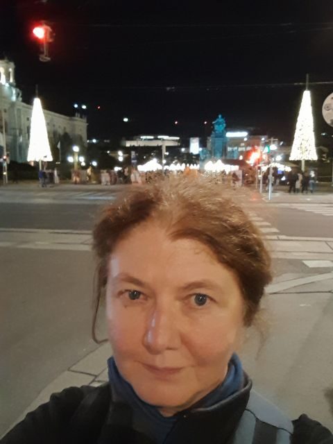 Wien: Tour with locals on the trails of the Christmas Tree - The Advent markets finale and the Vienna punch moment