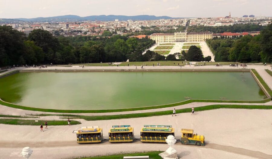Wien: Tours with locals by public transport & walking - Learning Vienna’s tram, metro, and bus system without the stress