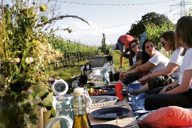 Wine Picknick overlocking vienna - Key Highlights You’ll Actually Care About